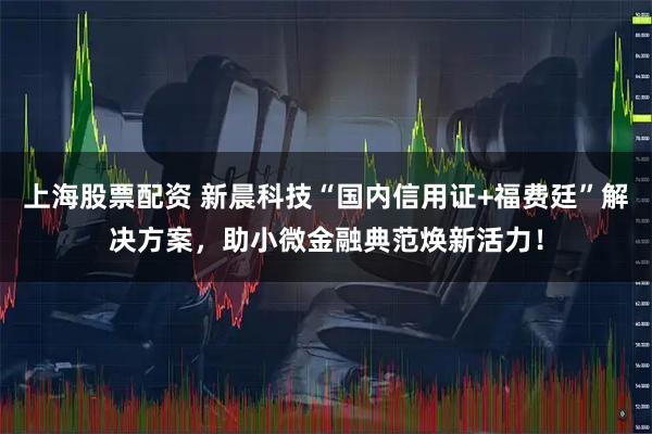 上海股票配资 新晨科技“国内信用证+福费廷”解决方案，助小微金融典范焕新活力！