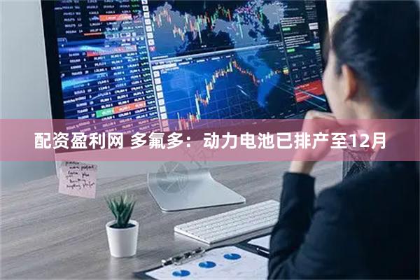 配资盈利网 多氟多：动力电池已排产至12月