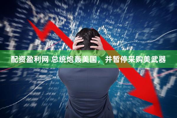 配资盈利网 总统炮轰美国，并暂停采购美武器