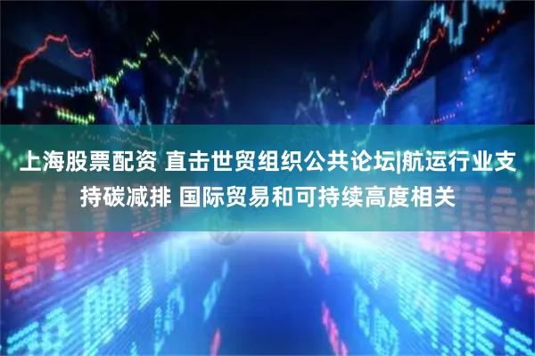 上海股票配资 直击世贸组织公共论坛|航运行业支持碳减排 国际贸易和可持续高度相关