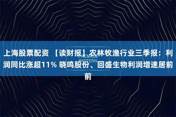 上海股票配资 【读财报】农林牧渔行业三季报：利润同比涨超11% 晓鸣股份、回盛生物利润增速居前